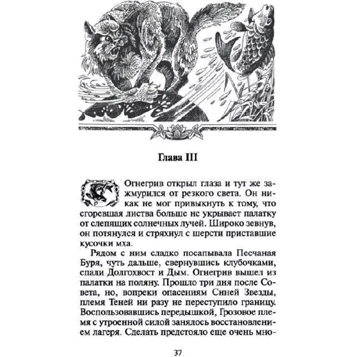 Эрин Хантер: Коты-воители. Опасная тропа: Производитель Абрис Олма