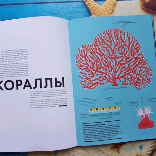 Элен Дрювер: Океан: Количество страниц 44