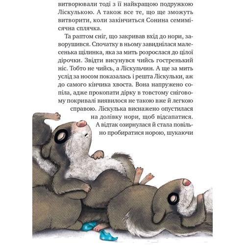 Забіне Бальман: Маленька Соня у лісі різдвяних історій: Автор Забине Больман