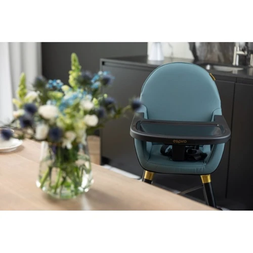 Стульчик для кормления Espiro Yuko 17 Timber Graphite (5905683800853): Тип классический стульчик