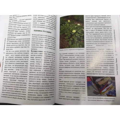 Елена Токарева: Пионы. Травянистые, древовидные, гибриды ИТО. Полный справочник: Производитель Фитон ХХI