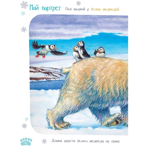 Александр Архангельский: Я белый медведь: Производитель Альпина Паблишер