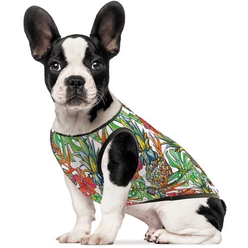 Борцовка Pet Fashion РИО X S-2 (4823082410569)