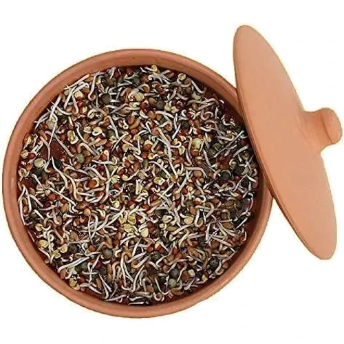 Глиняні горщики для пророщування Hawos Toni Clay Sprouter