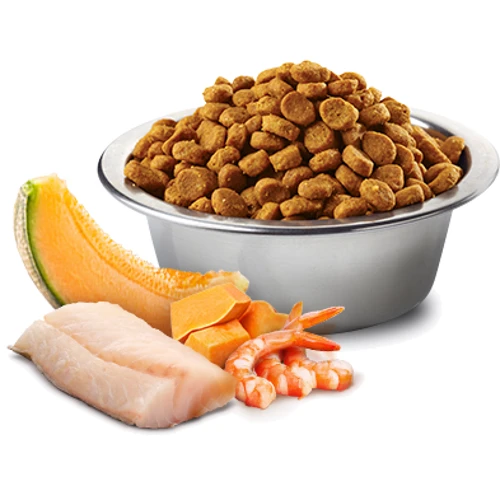 Беззерновий сухий корм Farmina N&D Ocean Grain Kitten Cod Shrimp Pumpkin & Melon для кошенят і вагітних кішок Тріска, креветка, гарбуз і мускусна диня 300 г (175583): Тип Сухий корм