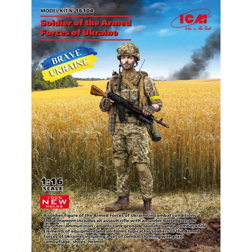 Военнослужащий Вооруженных Сил Украины ICM