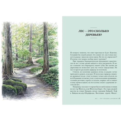 Адриане Лохнер: Лес. Как устроена лесная экосистема: ISBN 978-5-389-17338-5