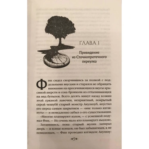 Кэрри Райан, Джон Парк Дэвис: Рубиновый Ключ. Книга 1: Жанр Приключения