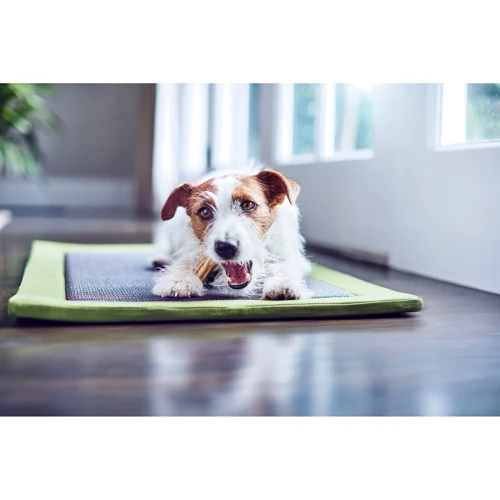 Лакомство для собак Purina Dentalife Small малых пород для здоровья зубов и десен 115 г (12452479) фото 8