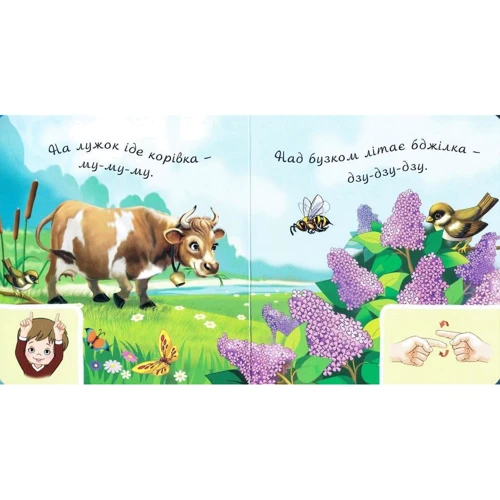 В. М. Рожнів: У дворі. Аґрусики вчаться говорити: ISBN 978-966-10-5117-0