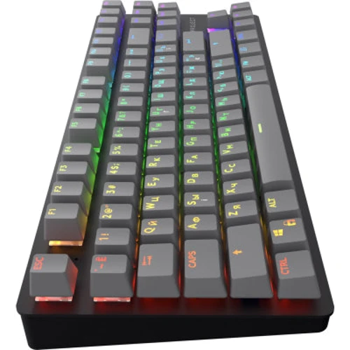 Клавиатура Dark Project One KD87A ABS Gateron Mechanical Red (DPO-KD-87A-000300-GRD): Количество клавиш 87
