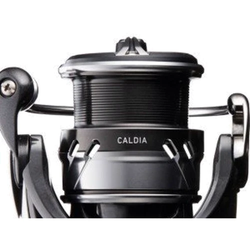 Катушка рыболовная Daiwa 18 CALDIA LT 2500D (10412-255): Тип Безынерционная
