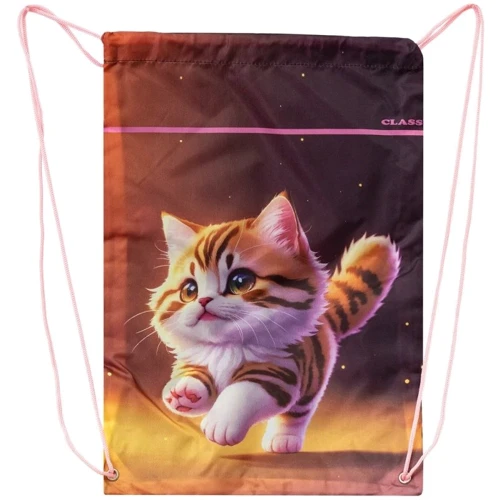 Сумка для взуття CLASS Kitty (2535C)