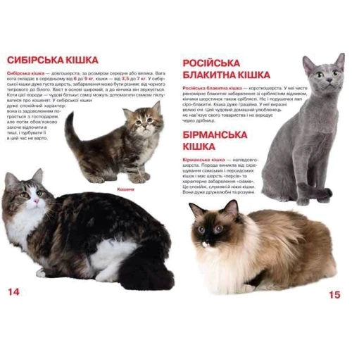 Велика книжка. Кішкі: Кількість сторінок 16