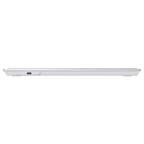 Клавіатура A4Tech FX61 White Ice Blue Backlit: Тип клавіш мембранный