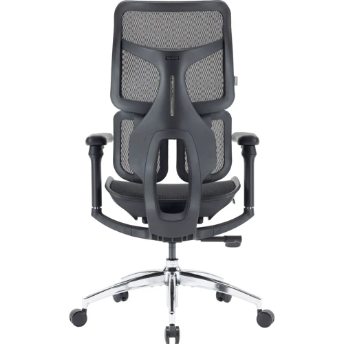 Офисное кресло Sihoo DORO S100 Mesh Black (S100-M301)
