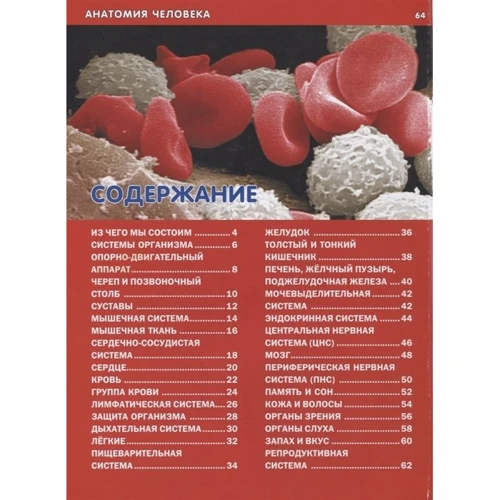 Анатомія людини для дітей. ілюстрована енциклопедія: Виробник Владис