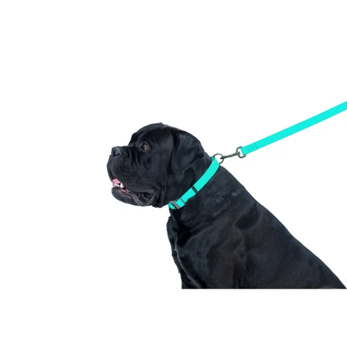 Поводок WAUDOG Waterproof, светящийся 15 мм 122 см ментоловый (2730) фото 5