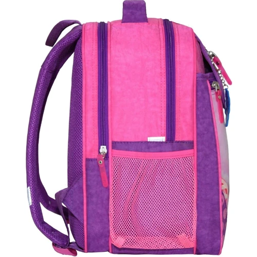 Рюкзак школьный Bagland Отличник 20 л. 339 фиолетовый 409 (0058070): Пол ребенка Для девочек