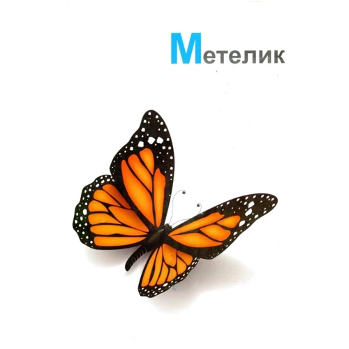 Абетка. Українська абетка. 33 двосторонні картки фото 6