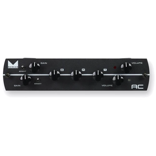 Преам модуль SYNERGY Morgan AC Module: Тип Преампы