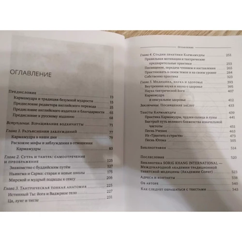 Нида Ченагцанг: Кармамудра: йога блаженства. Сексуальность в тибетской медицине и буддизме: Обложка Твердая