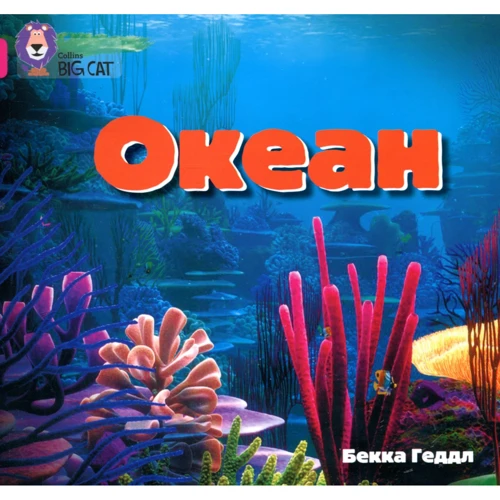 Бекка Геддл: Океан