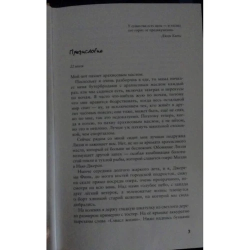 Венди Масс: Смысл жизни. Джереми Финку: Обложка Твердая