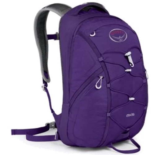 Рюкзак Osprey Axis 18 Prince Purple