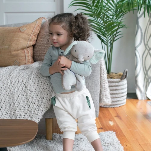 Мягкая игрушка Ingenuity Van Bean Bag Lovey (12380): Тип прочее