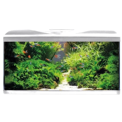 Акваріум Amtra System 80 Led White 85 л з фільтром, помпою та нагрівачем Фон вогні 80x32x48 см (A2001364)