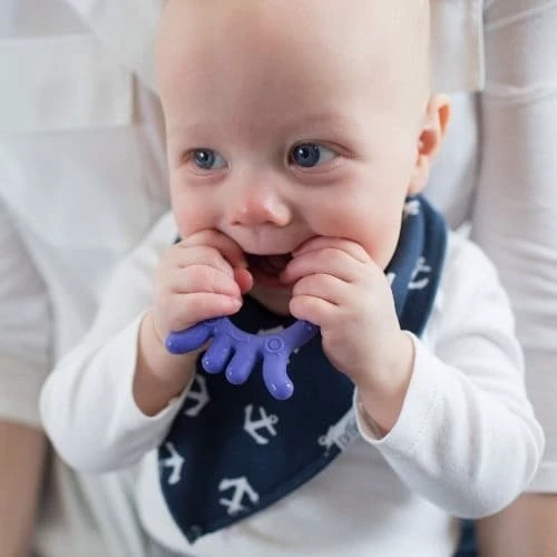 Прорезыватель для зубов Осьминог (TE006-P2)