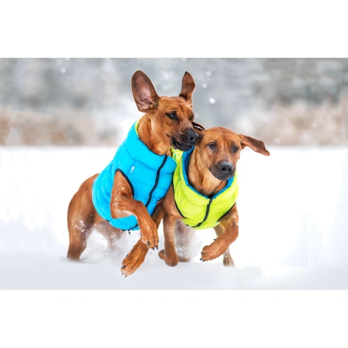 Курточка двусторонняя AiryVest для средних собак, размер M 50, салатово-голубая (4823089300146) фото 13