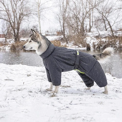 Комбінезон Pet Fashion Cold XS сірий (4823082426317): Тип Комбинезоны