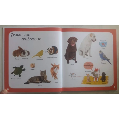 Головна книга малюка про тварин фото 7