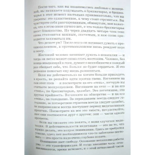 Раджниш Ошо: Великий секрет. Беседы по песням Кабира: Производитель Весь