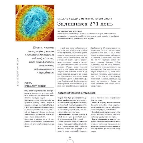Меґґі Блотт: Вагітність день за днем: ISBN 978-617-09-9105-8