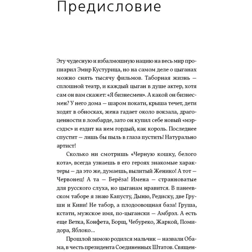 Дмитрий Фалеев: Бахтале-зурале! Цыгане, которых мы не знаем: Количество страниц 290