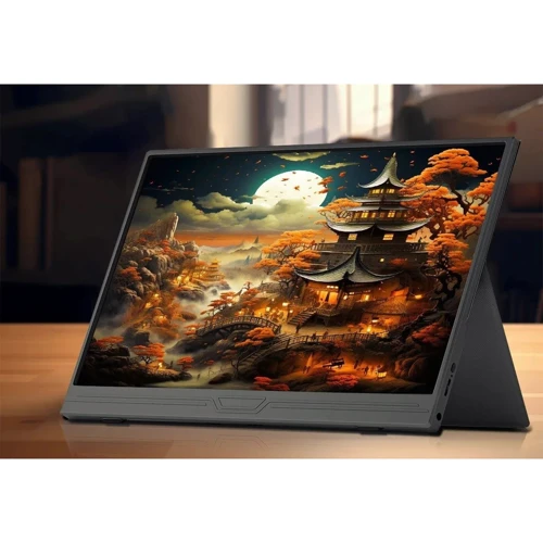 Монітор ZSUS PM14AT black 14" 1920x1080: Тип РК-матриці IPS