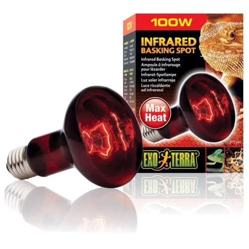 

Лампа инфракрасная для террариума Exo Terra R25/100W (15561221443)