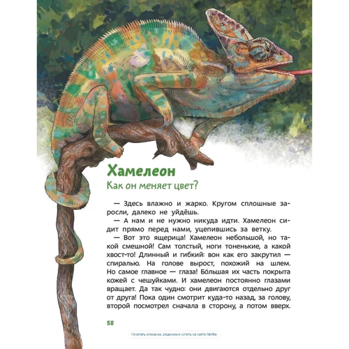 Елена Качур: Динозавры и другие пресмыкающиеся: Производитель Манн, Иванов и Фербер
