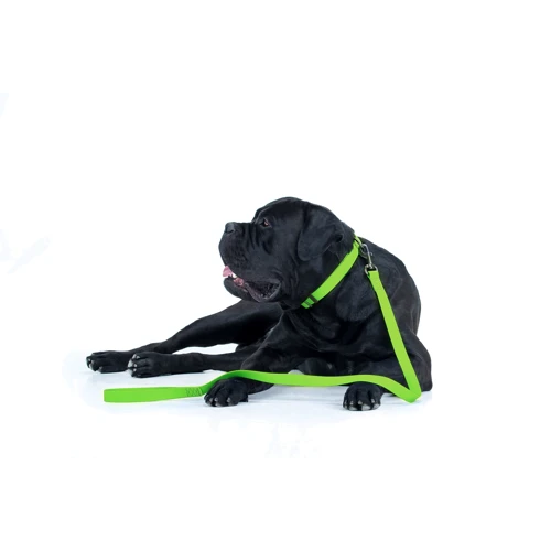 Ошейник WAUDOG Waterproof водостойкий, пряжка крючок 25 мм 35-70 см салатовый (27195): Назначение Для всех пород
