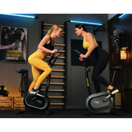 Велотренажер Trex Sport TX-450MB FLEXO магнитный серый (5902308232396)