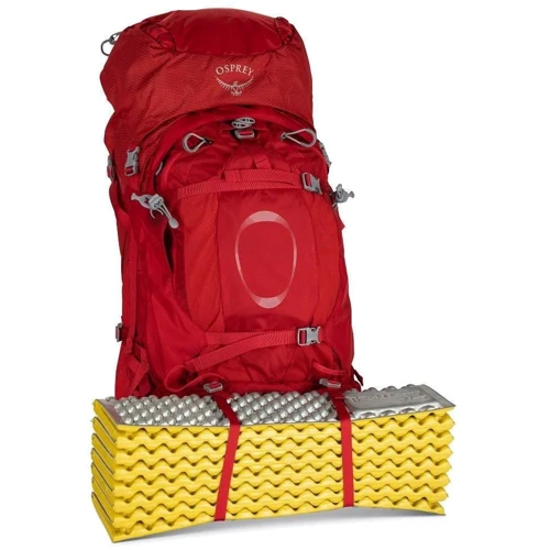 Рюкзак туристический Рюкзак туристический Osprey Ariel Plus 60 Night Jungle Blue M/L синий (009.2455) фото 2