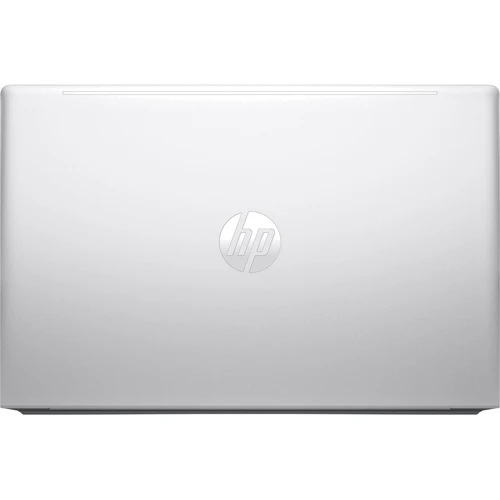 Ноутбук HP ProBook 450 G10 Silver (AD1Y8ET) UA: Екран 15.6" IPS (1920x1080) Full HD