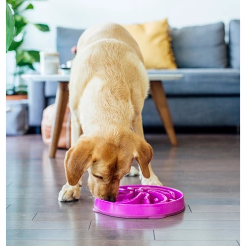 Миска-лабіринт для собак Outward Hound Fun Feeder Квітка велика фіолетова (oh51003): Тип Миски