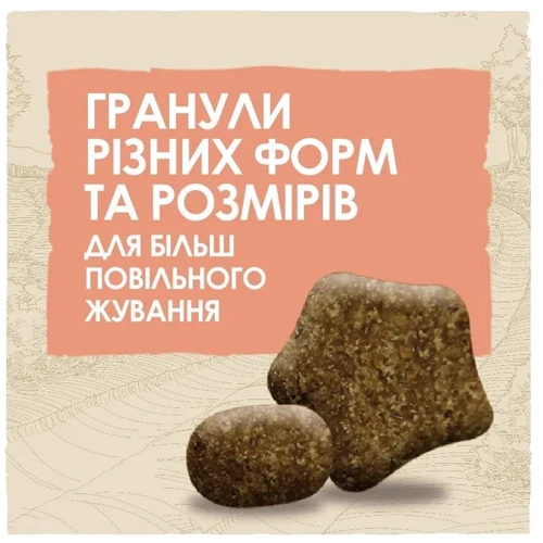 Сухой корм Dog Chow Sensetive для собак с чувствительным пищеварением с лососем 2.5кг (12493358): Класс Премиум