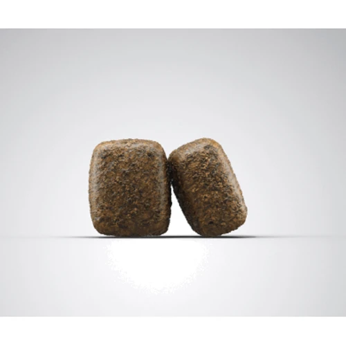 Сухий корм для собак Josera Sensi Adult з чутливим шлунком 12.5 кг (50012848): Тип Сухой корм