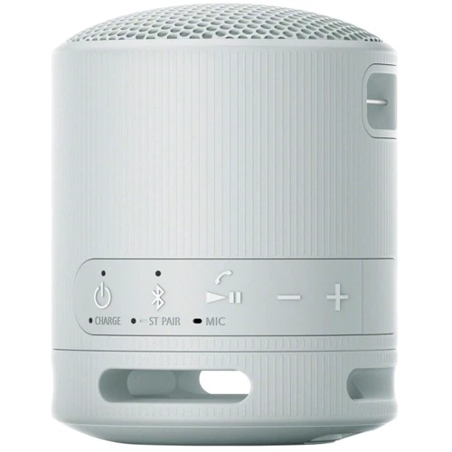 Акустика Sony SRS-XB100 Grey (SRSXB100H.CE7): Тип портативная