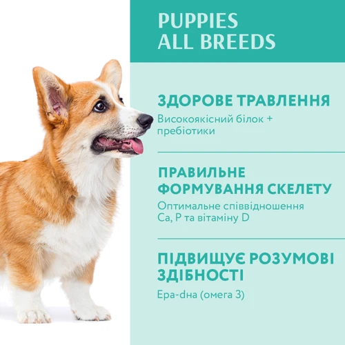 Сухой корм Optimeal Puppies All Breeds для щенков всех пород с индейкой 4 кг (4820083905490): Класс Супер премиум